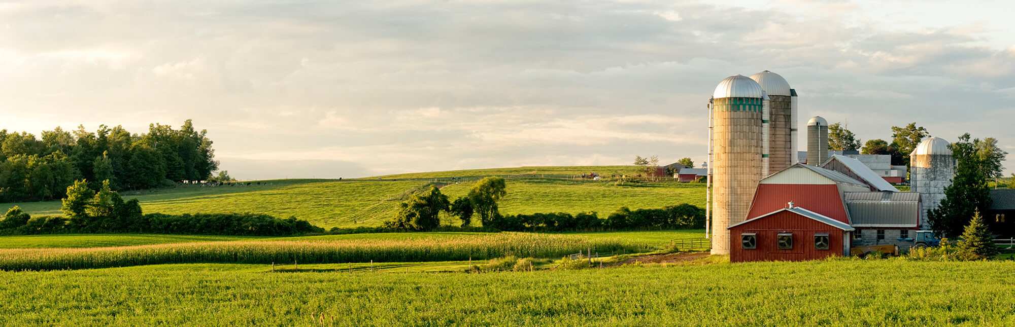farm house